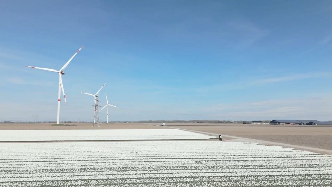 Still from Essent — Environmental, Social, and Governance