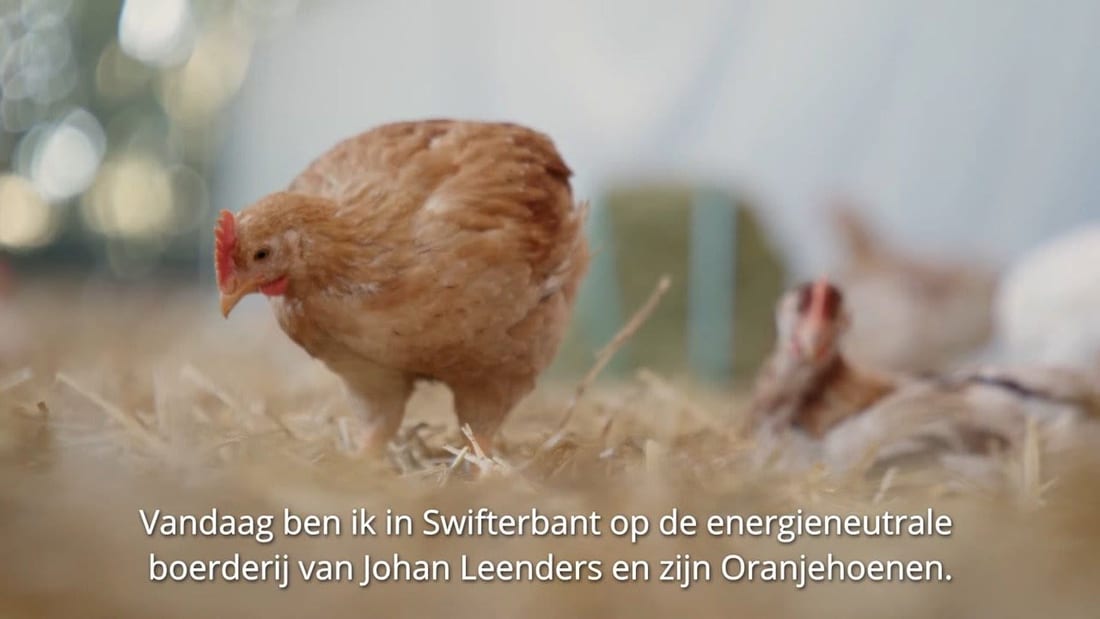 Still from HelloFresh van ‘t Land