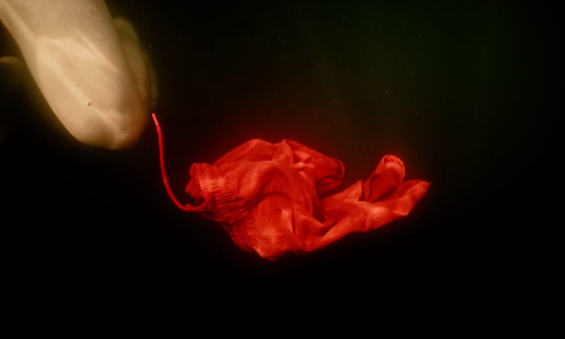 Still from Wetboy