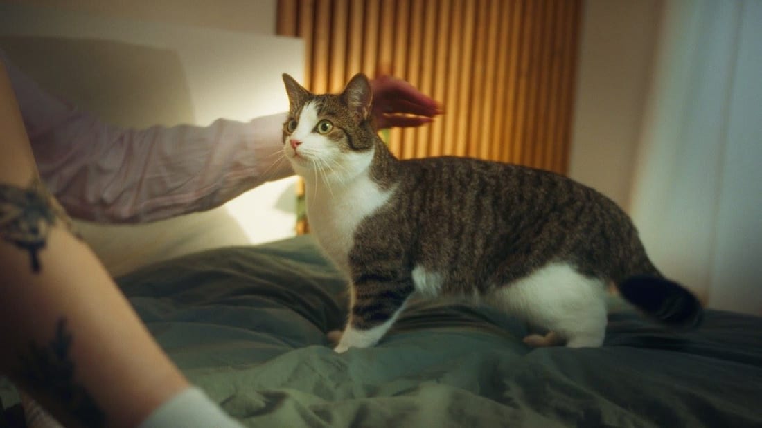 Still from Woning in Zicht